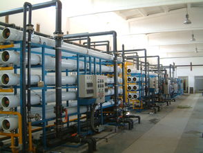 工業級反滲透純水設備